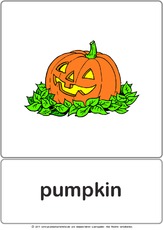 Bildkarte - pumpkin.pdf